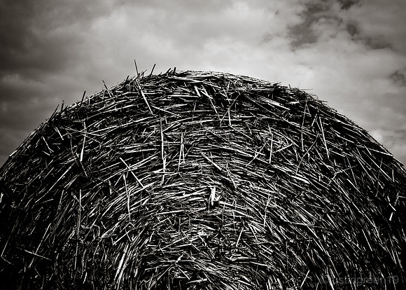 hay bail