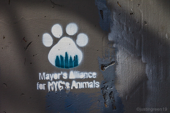 Animal Alliance New York