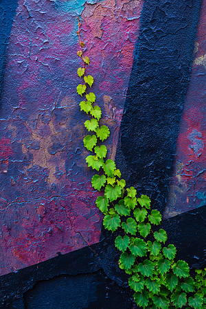 Climbing Up
