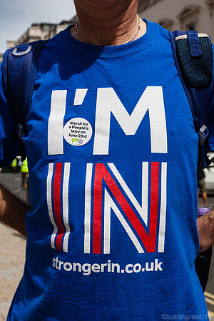 Brexit remainer