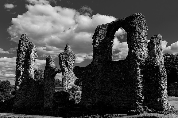 Abbey Ruins