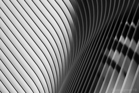 Oculus 1