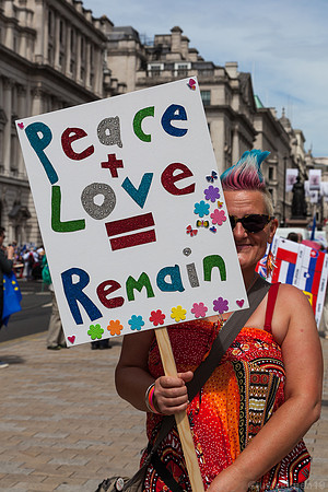 Brexit remain