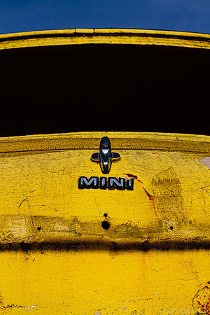 Yellow Mini