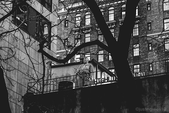 Donald Trump NYC