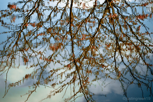 water reflection