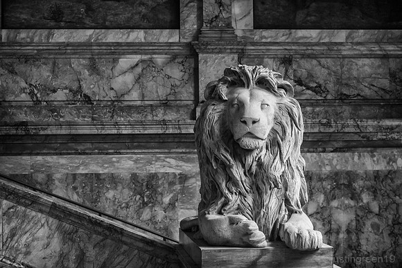 Boston Library Lion