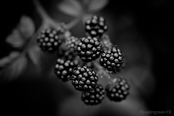 Blackberry