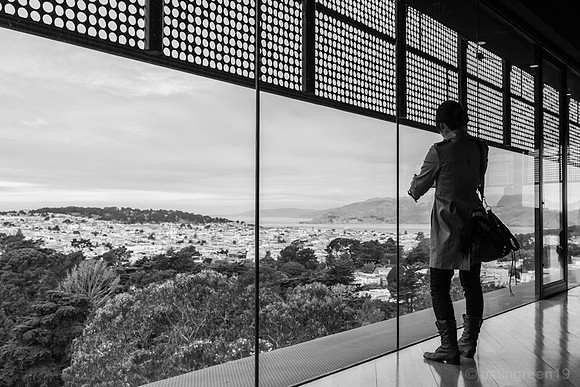 Observation deck de young