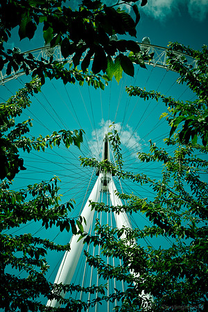 London Eye