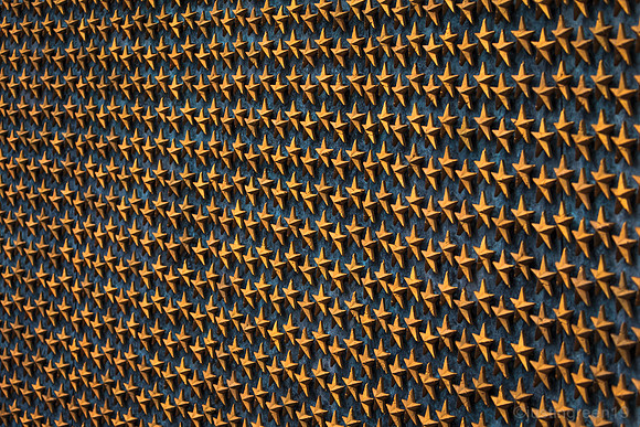 Field of Stars