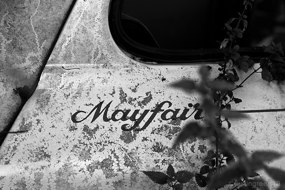 mini mayfair