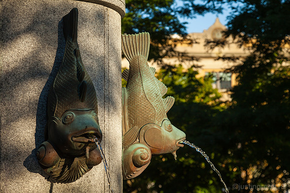 City Square Park Charlestown