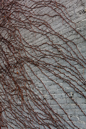 The Highline plants