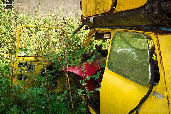 yellow mini