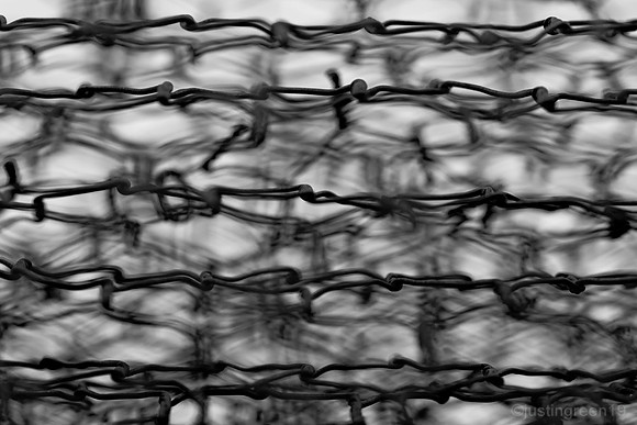 barbed wire