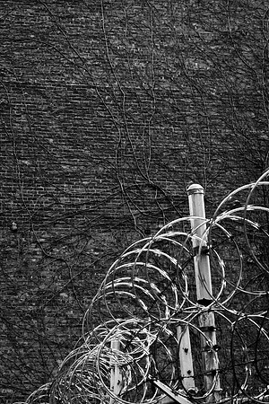 security fence